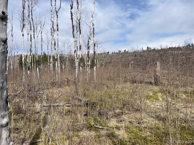 686 Cogbill Dr, Fort Garland, CO 81133