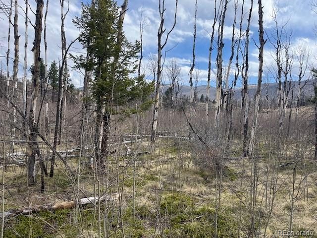 686 Cogbill Dr, Fort Garland, CO 81133