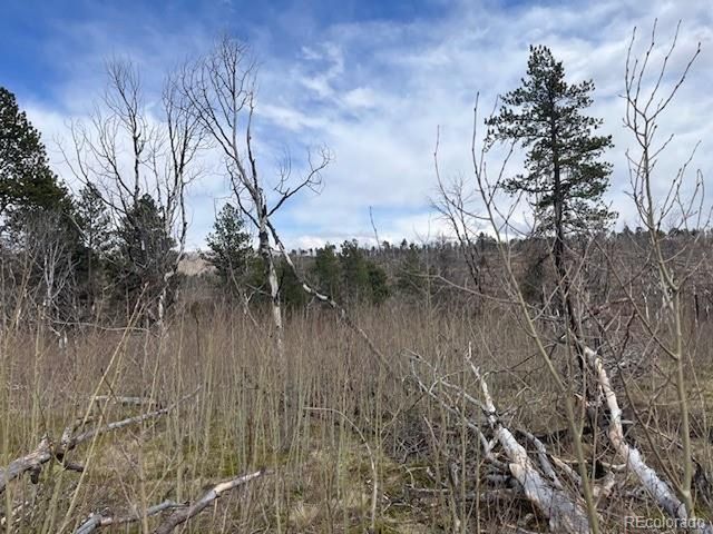 686 Cogbill Dr, Fort Garland, CO 81133