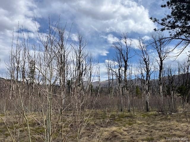 686 Cogbill Dr, Fort Garland, CO 81133
