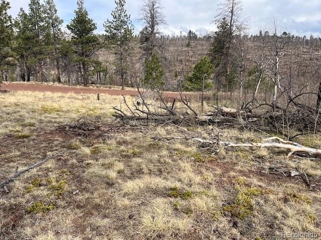 686 Cogbill Dr, Fort Garland, CO 81133