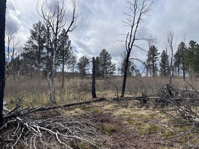 686 Cogbill Dr, Fort Garland, CO 81133