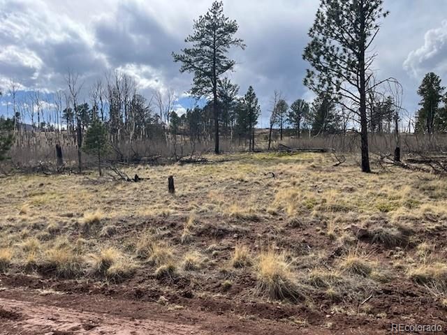 686 Cogbill Dr, Fort Garland, CO 81133
