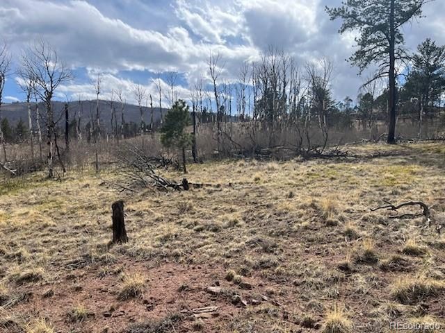 686 Cogbill Dr, Fort Garland, CO 81133
