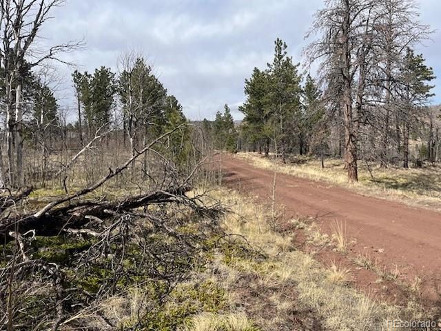 686 Cogbill Dr, Fort Garland, CO 81133