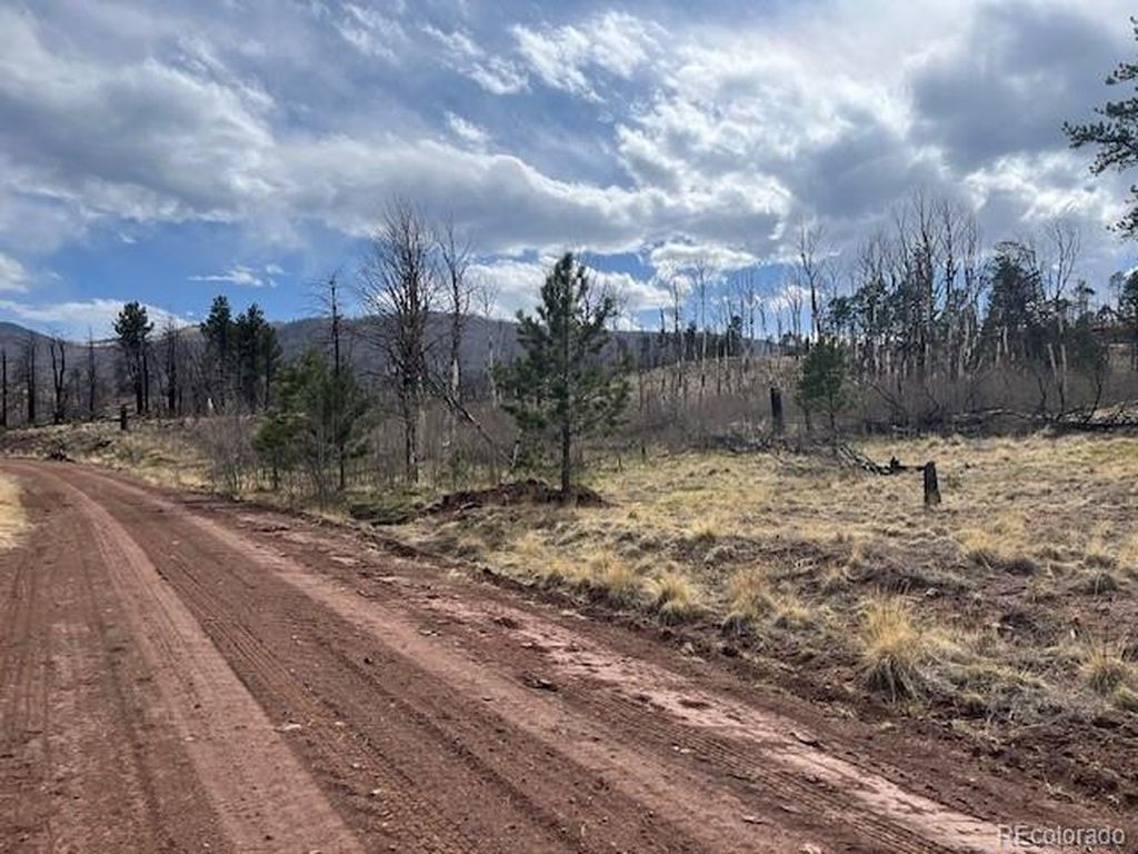 686 Cogbill Dr, Fort Garland, CO 81133