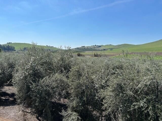 Avenue 234, Lindsay, CA 93247