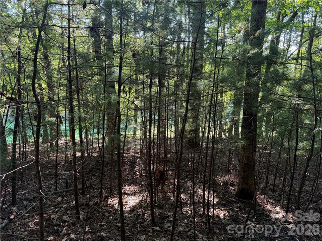 121 Bobby Jones Drive 48, Hendersonville, NC 28739