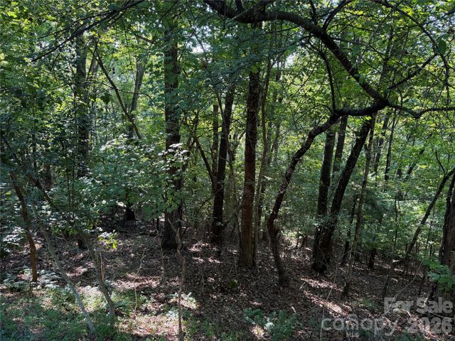 121 Bobby Jones Drive 48, Hendersonville, NC 28739