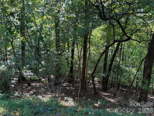 121 Bobby Jones Drive 48, Hendersonville, NC 28739