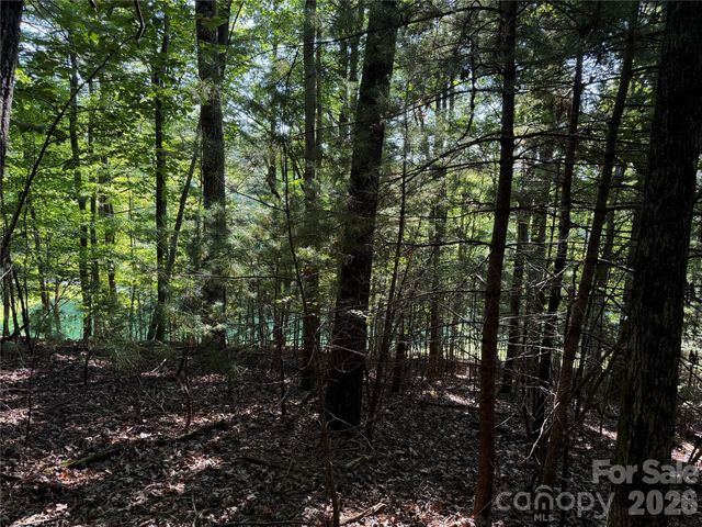 121 Bobby Jones Drive 48, Hendersonville, NC 28739