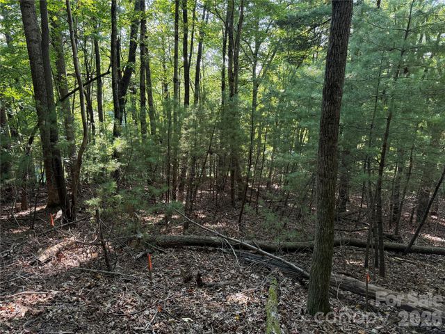 121 Bobby Jones Drive 48, Hendersonville, NC 28739