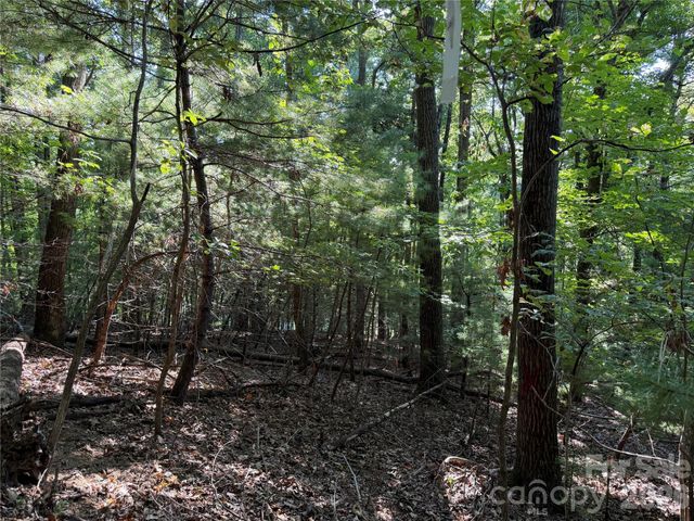121 Bobby Jones Drive 48, Hendersonville, NC 28739