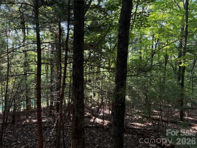 121 Bobby Jones Drive 48, Hendersonville, NC 28739
