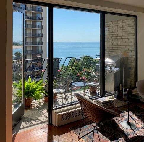 6030 N Sheridan Road 901, Chicago, IL 60660