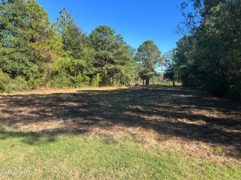 118 Engman Avenue, Bay Saint Louis, MS 39520