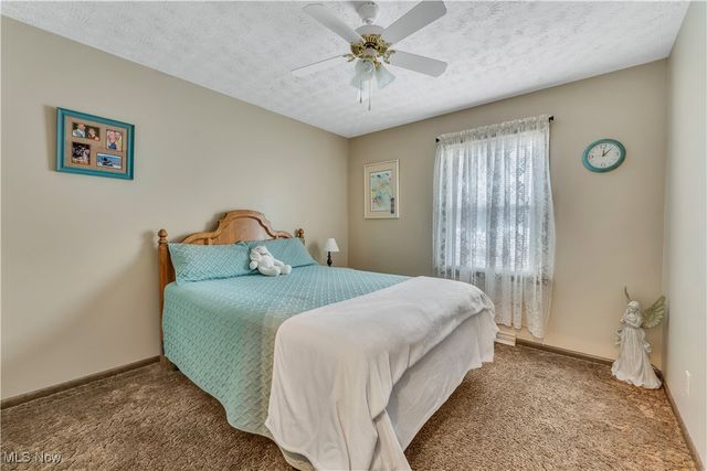 7295 Cool Road, Canfield, OH 44406