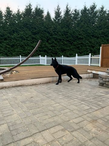 125 Kelsey Road, Nottingham, NH 03290