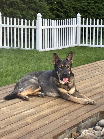 125 Kelsey Road, Nottingham, NH 03290