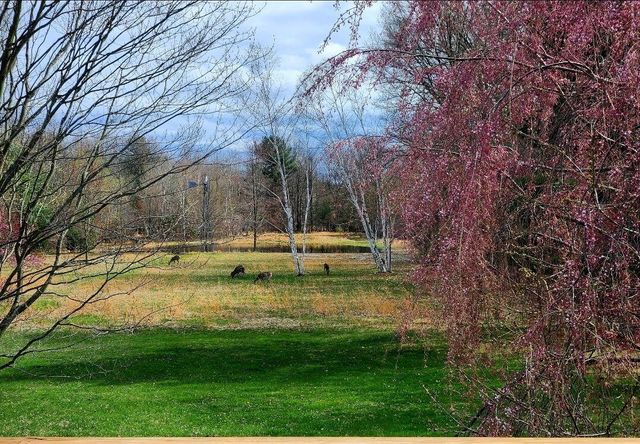 425 E Sternberg Road, Norton Shores City, MI 49441