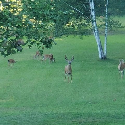 425 E Sternberg Road, Norton Shores City, MI 49441