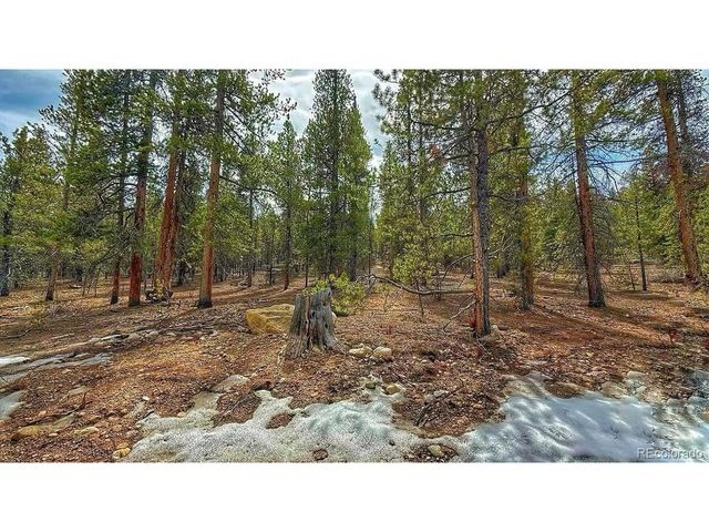 48 Mount Massive Rd, Twin Lakes, CO 81251