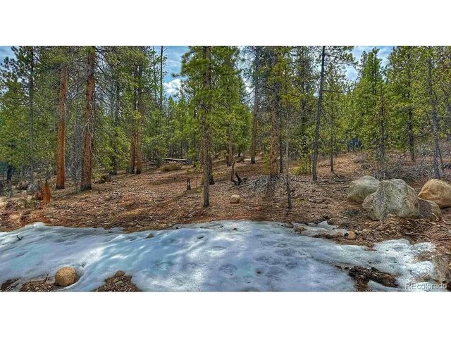 48 Mount Massive Rd, Twin Lakes, CO 81251