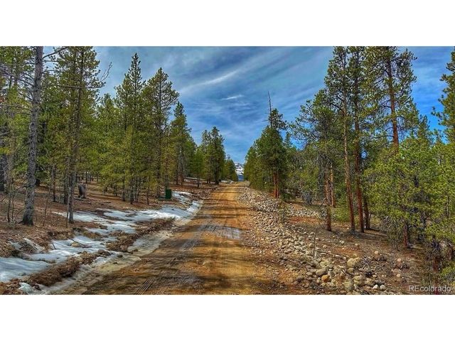 48 Mount Massive Rd, Twin Lakes, CO 81251