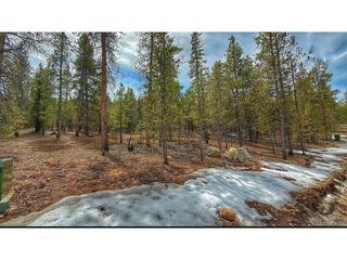 48 Mount Massive Rd, Twin Lakes, CO 81251