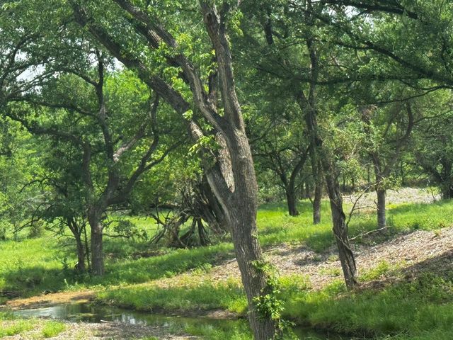 TBD State Hwy 56 State Hwy 56, Whitesboro, TX 76273