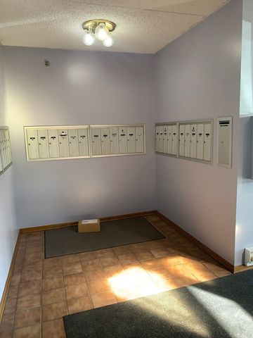 10420 Circle Drive 22B, Oak Lawn, IL 60453