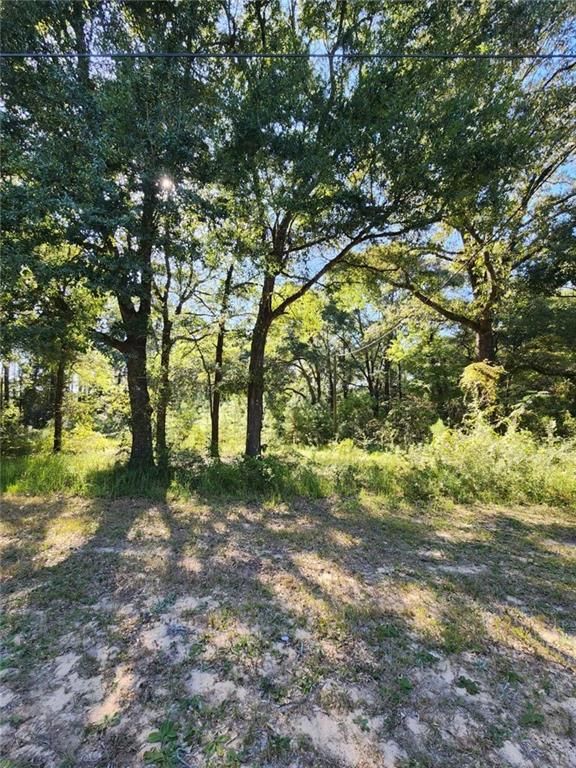5507 Henry Road, Eight Mile, AL 36613 — photo 2