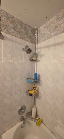 21342 S JEFFREY Drive, Matteson, IL 60443