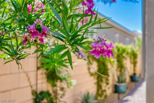 80 Tatahatso Point Street, Henderson, NV 89011