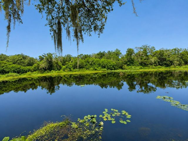 2625 STATE ROAD 590 1123, Clearwater, FL 33759