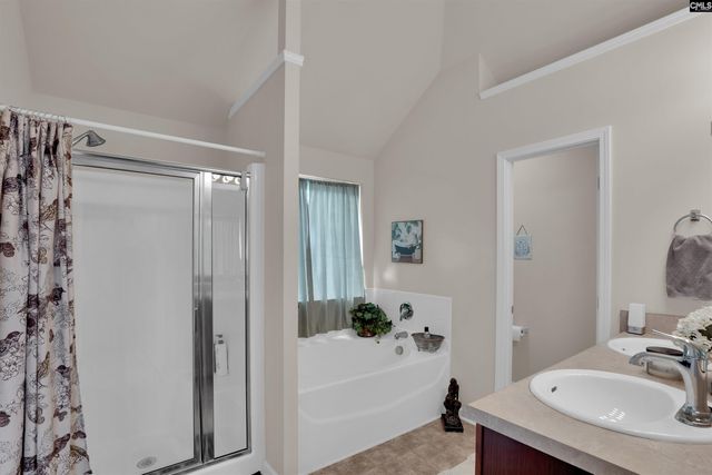 147 Meadow Saffron Drive, Lexington, SC 29073