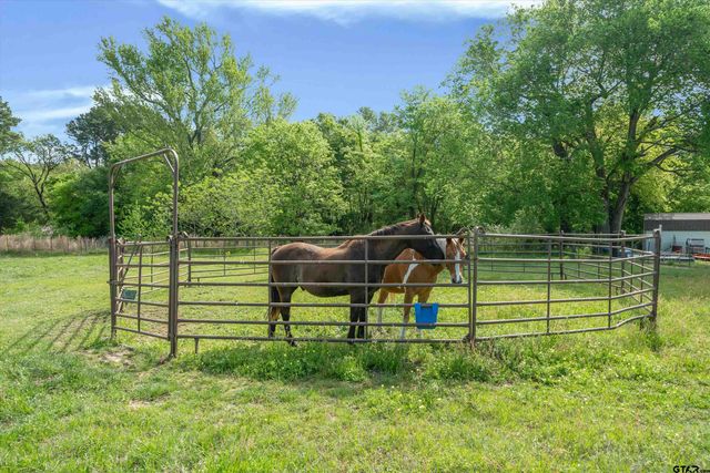 891 CR 4740, Winnsboro, TX 75494