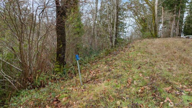 0 SE Olympiad Dr, Port Orchard, WA 98366