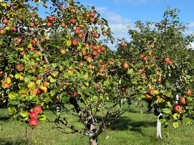 12558 W Twin Lake Road, Round Lake Twp, WI 54843