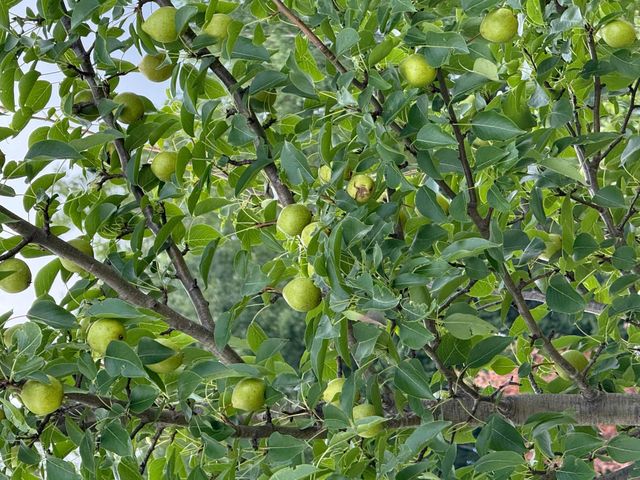 12558 W Twin Lake Road, Round Lake Twp, WI 54843