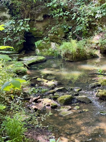 7120 N 127 Highway, Albany, KY 42602