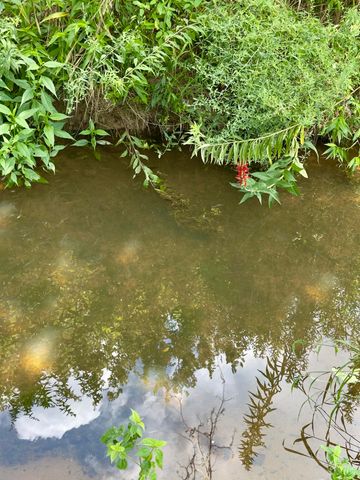 7120 N 127 Highway, Albany, KY 42602