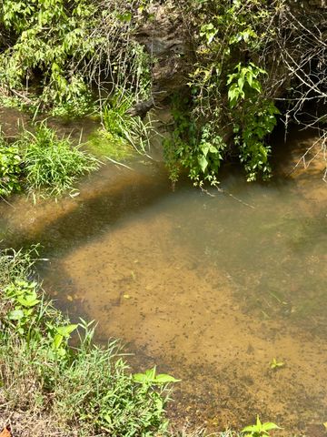 7120 N 127 Highway, Albany, KY 42602