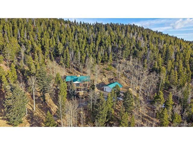 66 Lodgepole Cir, Evergreen, CO 80439