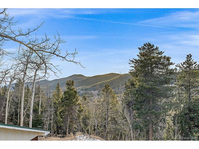 66 Lodgepole Cir, Evergreen, CO 80439