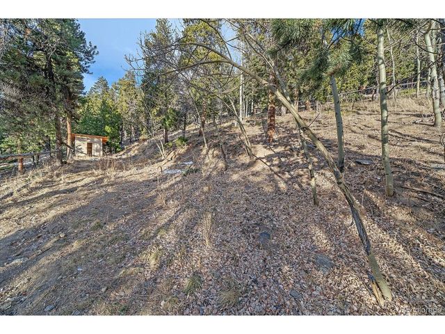 66 Lodgepole Cir, Evergreen, CO 80439