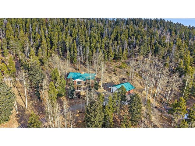 66 Lodgepole Cir, Evergreen, CO 80439