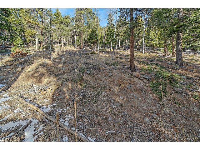 66 Lodgepole Cir, Evergreen, CO 80439