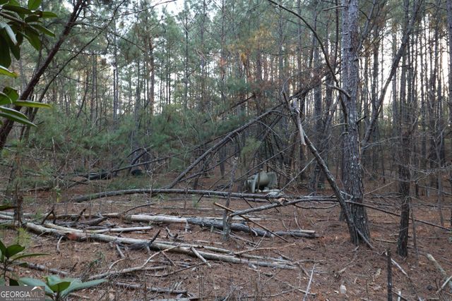 0 Causey Chapel Circle, Austell, GA 30106