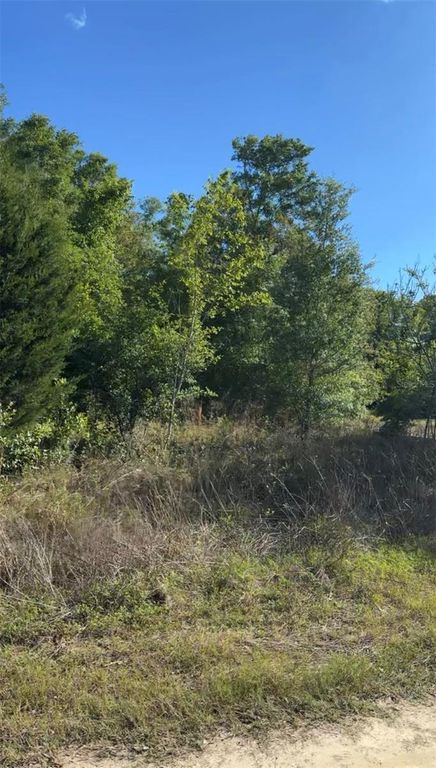 2405 WILSON ST STREET, Inverness, FL 34453